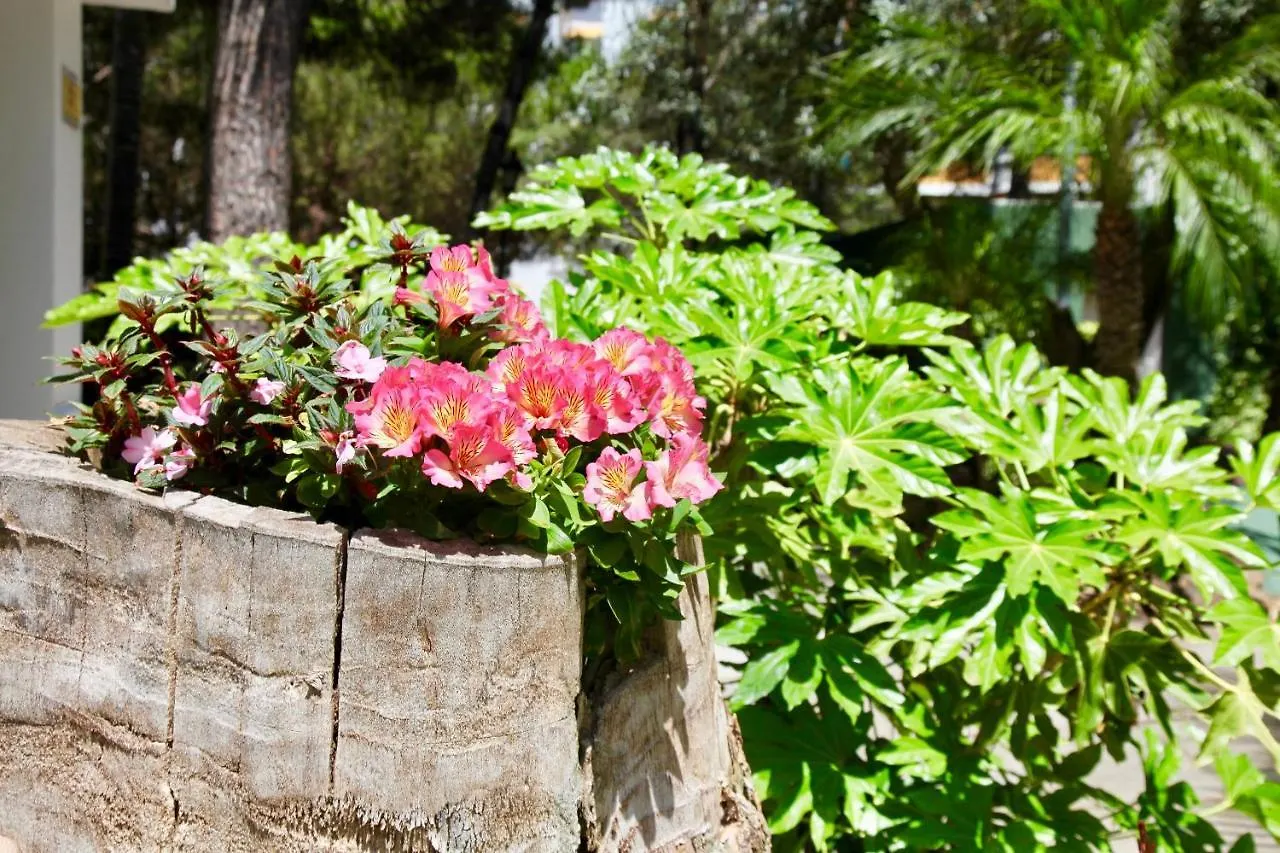 Top Apartment In Los Jardines De Las Golondrinas Marbella 0*,